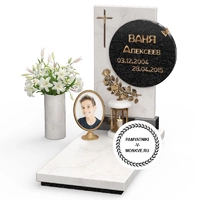 Элитный памятник с круглой чёрной вставкой и вазой АР2496